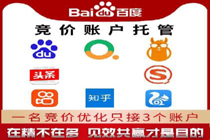 百度竞价排名服务：成功案例解析与优化策略